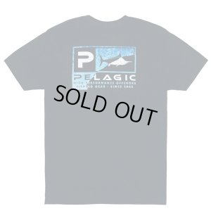 画像1: 《シーズンセール30%OFF》ペラジック　ツートーンICON プレミアム Tシャツ