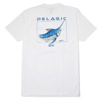 ペラジック 　ゴイオーネマーリン 半袖 Tシャツ