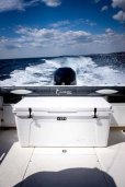 画像7: YETI  タンドラ クーラーボックス 125QT　イエティ Tundra