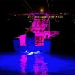 画像4: ルミテック　シーブリーズ クアトロ LED水中ライト スペクトルフルカラー (4)