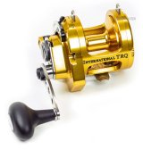アウトレット】PENN インターナショナル トルク300 - トップ