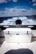 画像7: YETI  タンドラ クーラーボックス 125QT　イエティ Tundra (7)